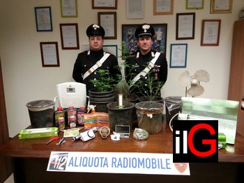 carabinieri san vito con marijuana e altro materiale sequestrato a Guarini