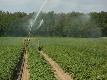 irrigazione logo