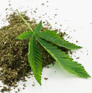 marijuana logo
