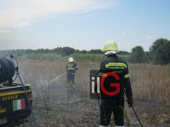 protezione civile mesagne su incendio sterpaglia 2