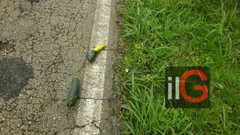 zucchine sulla strada