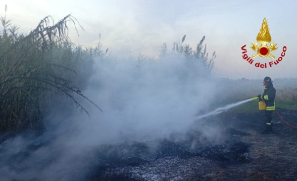 Incendio a Jaddico: domate le fiamme tra pneumatici dismessi e vegetazione. Intervento dei Vigili del Fuoco