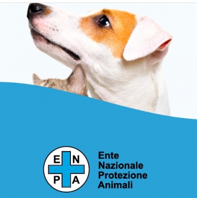 Il 2 e 3 ottobre torna nelle piazze italiane la tradizionale “Giornata degli Animali Enpa”