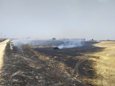Mesagne. Vasto incendio nel bosco Lucci. All&#039;opera un Canadair (Guarda il video)