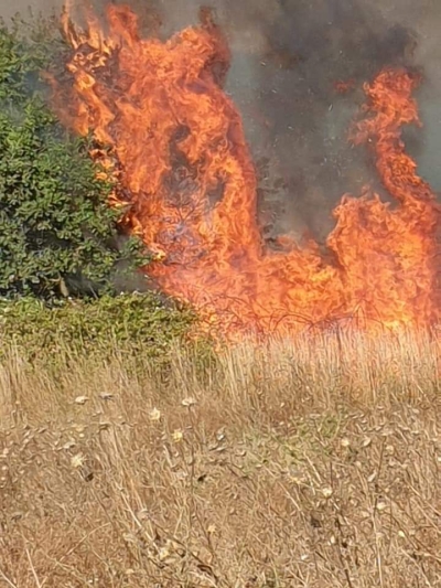 La Regione Puglia finanzia con 2,7 milioni di euro 34 Comuni per contrastare il fenomeno degli incendi boschivi
