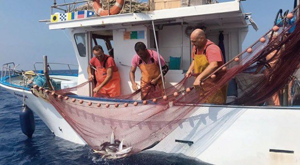 Cisoa, presto una realtà la Cassa Integrazione del comparto pesca