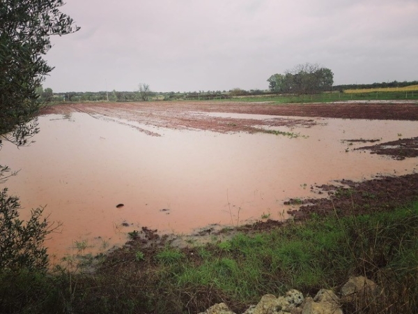 COLDIRETTI PUGLIA, DILUVIO UNIVERSALE IN SALENTO; CON NUBIFRAGI E TROMBE D'ARIA