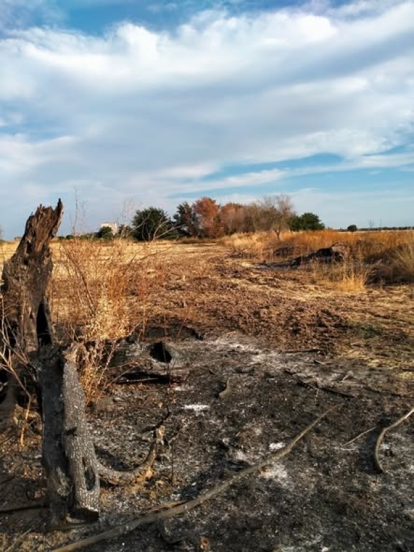 La Puglia che brucia da sola: il silenzio delle istituzioni è il vero incendio