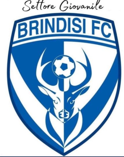 Brindisi, querelle tra i settori giovanili del calcio