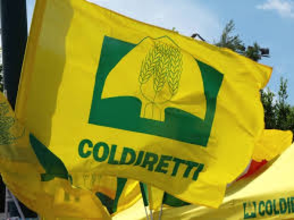 COLDIRETTI PUGLIA, NON FERMARE GLI ULTRAFORMULATI È UN CRIMINE CONTRO L’UMANITA'