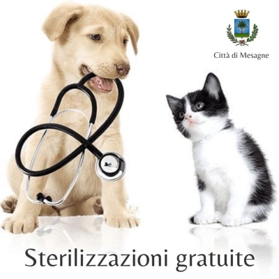 Mesagne: sterilizzazioni gratuite di cani e gatti padronali