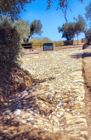 Scoperto a Muro Tenente un nuovo tratto della via Appia antica