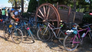 Domenica i cicloamici propongono una escursione in bicicletta a San Pietro Vernotico città di Domenico Modugno