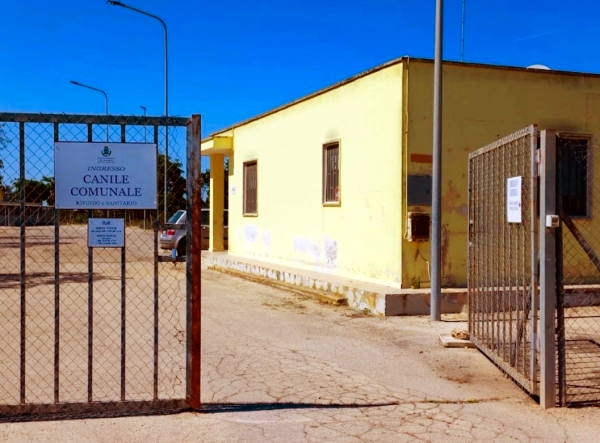 Il canile comunale di Mesagne da oggi ha cambiato gestione, tocca alla San Giuseppe