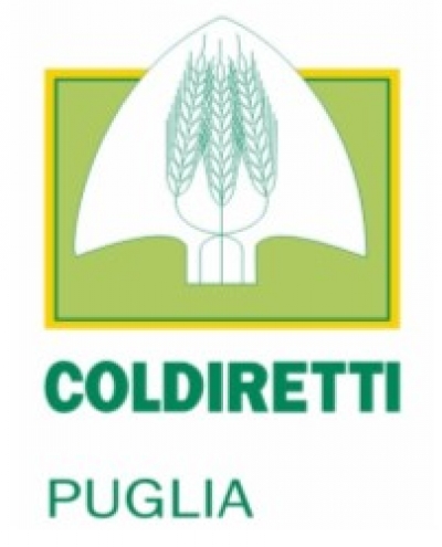 Criminalità: Coldiretti Puglia, allarme furti mandorle; agricoltori vigilantes h24 nelle campagne