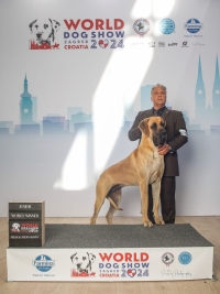 Un cane alano brindisino eletto Giovane Campione del Mondo al "World Dog Show" di Zagabria