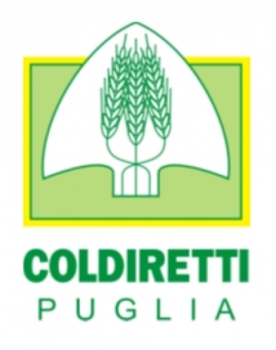 Fase 3: Coldiretti Puglia, caldo spinge consumo gelato; artigianale preferito da 50% pugliesi