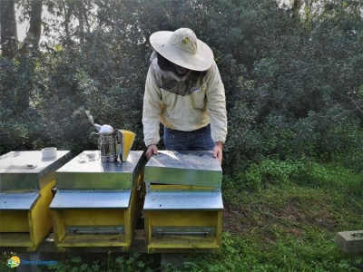 Torre Guaceto habitat ideale per le api: qui vivono meglio e producono più miele