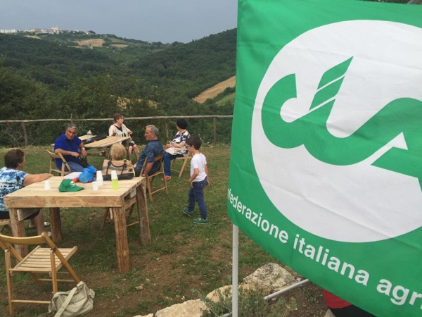 Cia Puglia: “In difesa di grano e pasta italiani ora coinvolgiamo i Comuni”