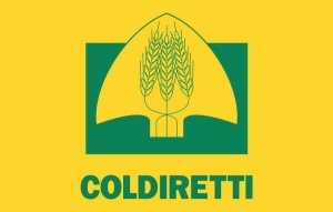 Xylella: Coldiretti Puglia, operativo portale Agea per bando da 40miln euro per reimpianti ulivi