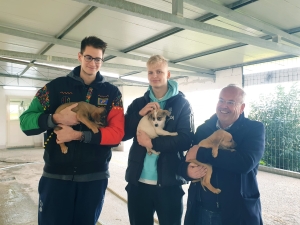 I giocatori della Happy Casa Brindisi promuovono l’adozione degli animali del canile di Brindisi