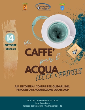 Acqua pubblica e gestione del territorio: l’Autorità Idrica Pugliese (AIP) incontra i Comuni delle Province di Lecce e Brindisi per l'acquisizione delle quote AQP