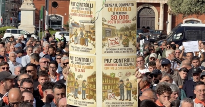 Orgoglio Olivicolo “Chiediamo al Ministro dell’Agricoltura l’immediata   attuazione del DAO