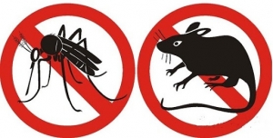 Mesagne. Disinfestazione per mosche e zanzare