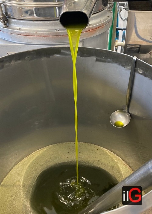 OLIO: COLDIRETTI PUGLIA, CON DAO REGISTRAZIONE DELL’OLIO IMPORTATO PER STANARE I TRAFFICANTI CHE INGANNANO I CITTADINI E DANNEGGIANO GLI AGRICOLTORI