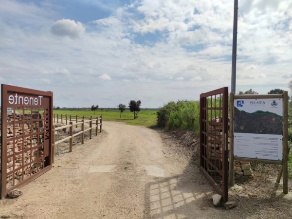 Pasquetta al Parco Archeologico di Muro Tenente: un’immersione tra storia e natura